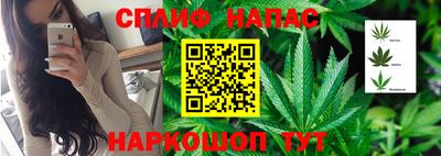 крисы Нягань